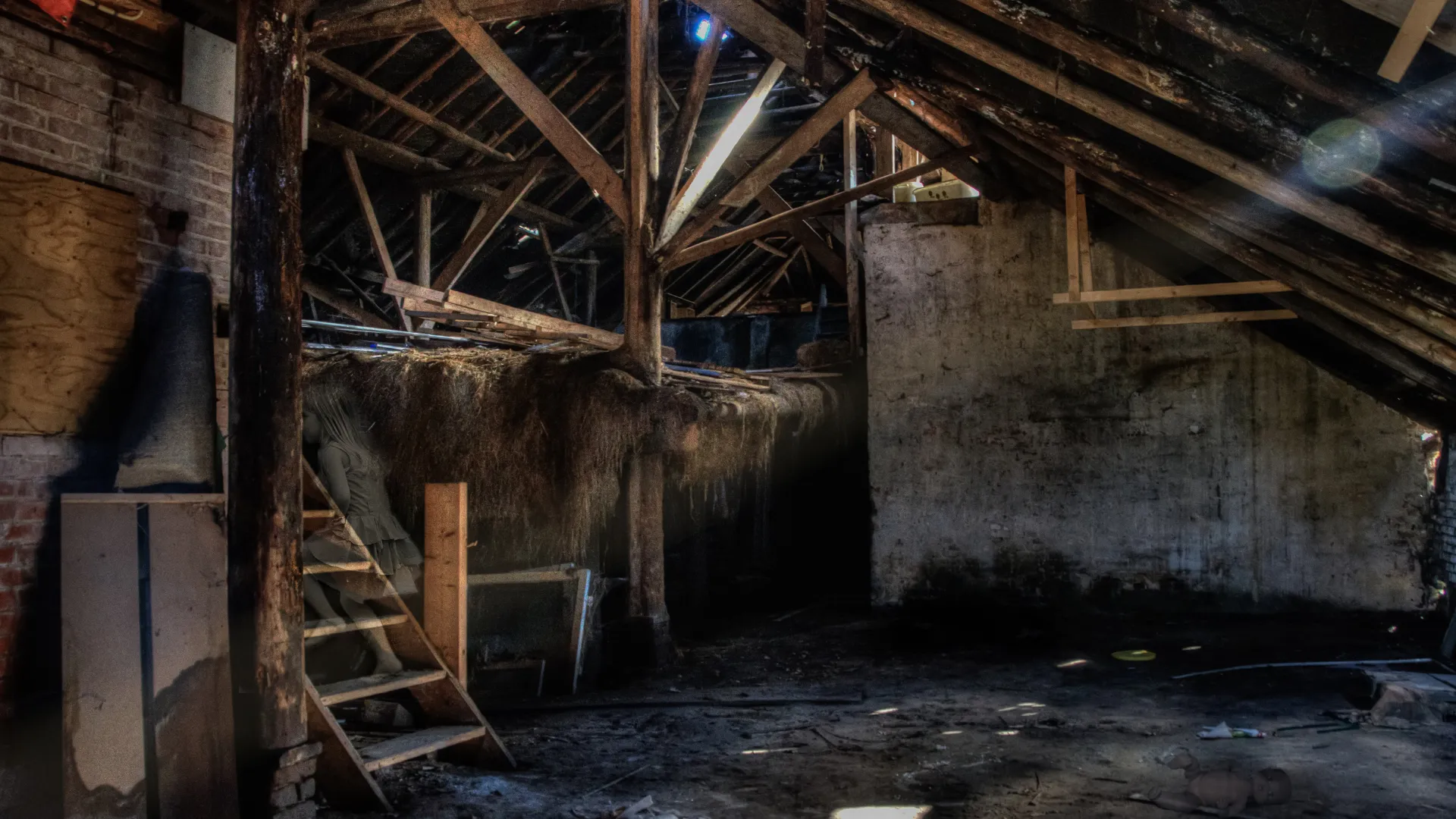 Dachstockräumung Winterthur Video - Professionelle Entrümpelung vom Dachstock